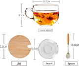 Teemall 16oz Morning Mug Clear Glass Tea Cup Coffee Mug with Bamboo Lid and Saucer,Spoon